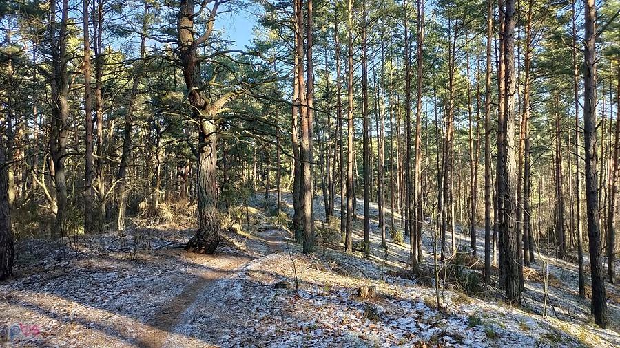 Jak nad morzem