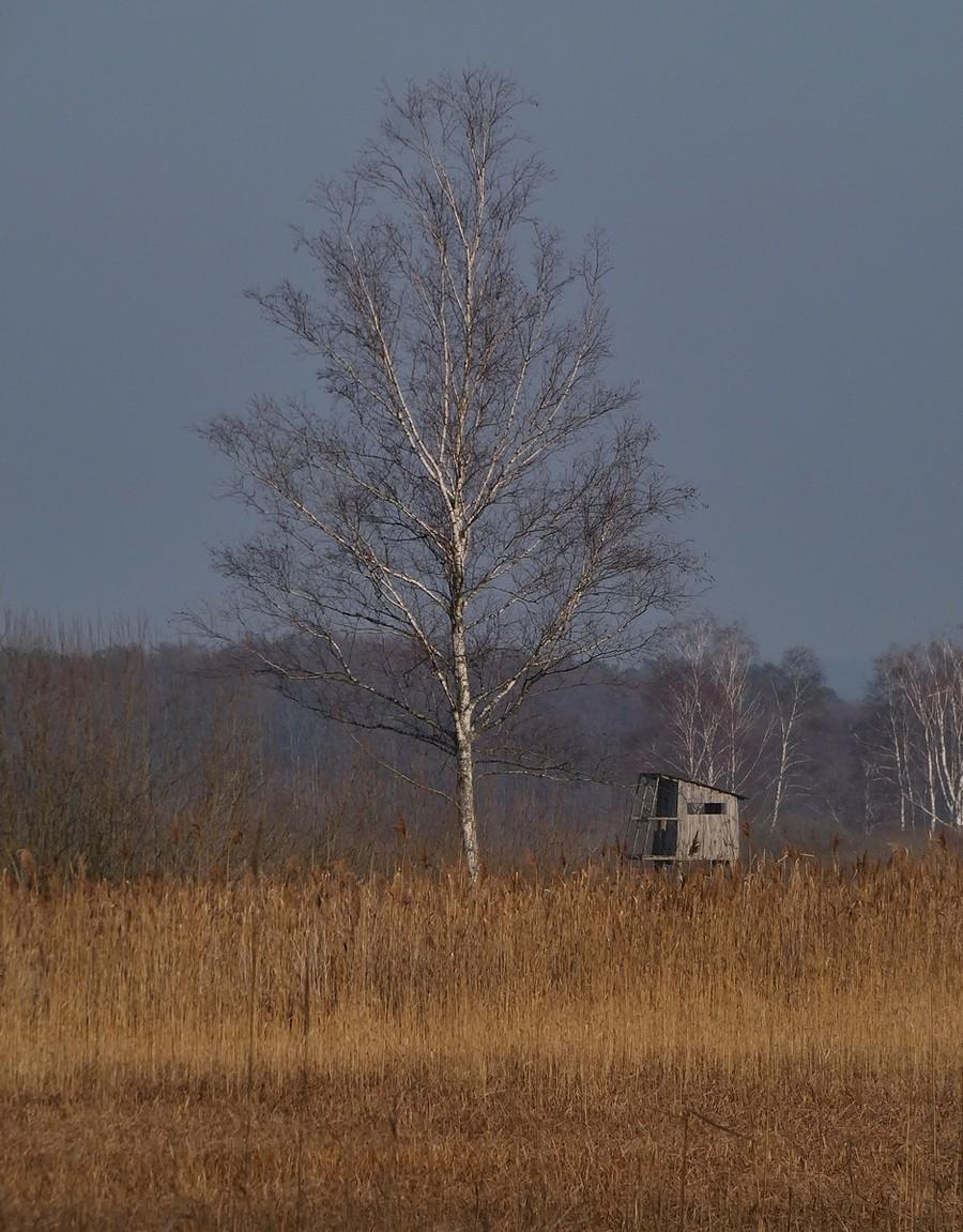 Klimaty podpołęckie