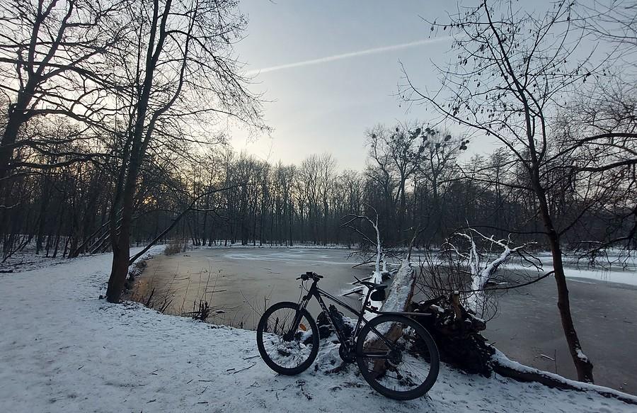 Nad stawem na poznańskiej Dębinie