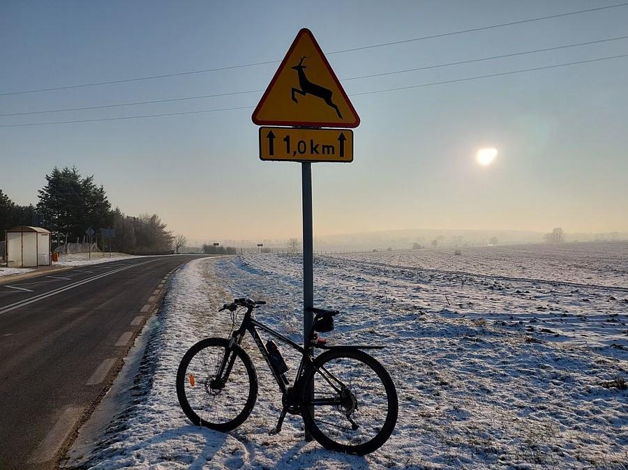Srogo, acz pięknie