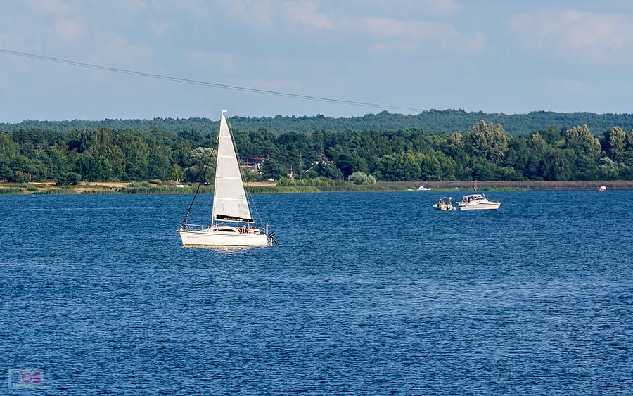 Poraj - widok w stronę południowo-wschodniego brzegu w Masłońskim