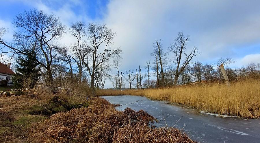 Mroźno-słoneczne bagno w Trzcielinie