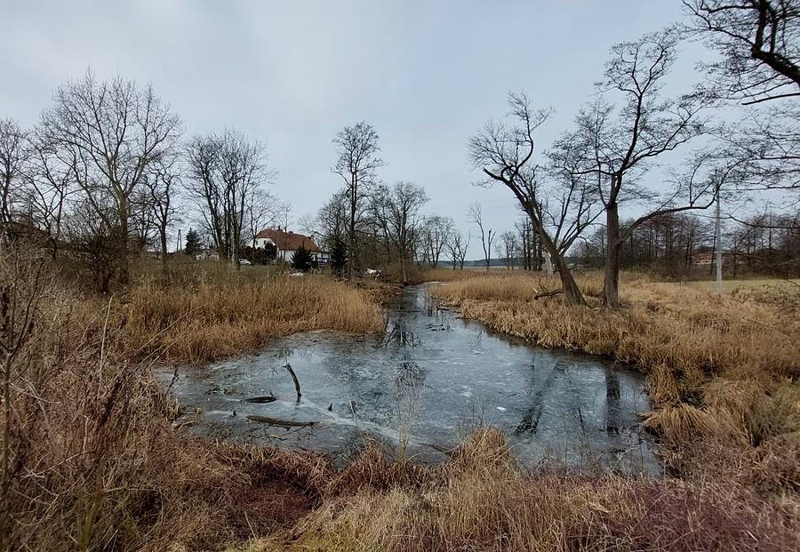 Odmarzające bagienko, Trzcielin