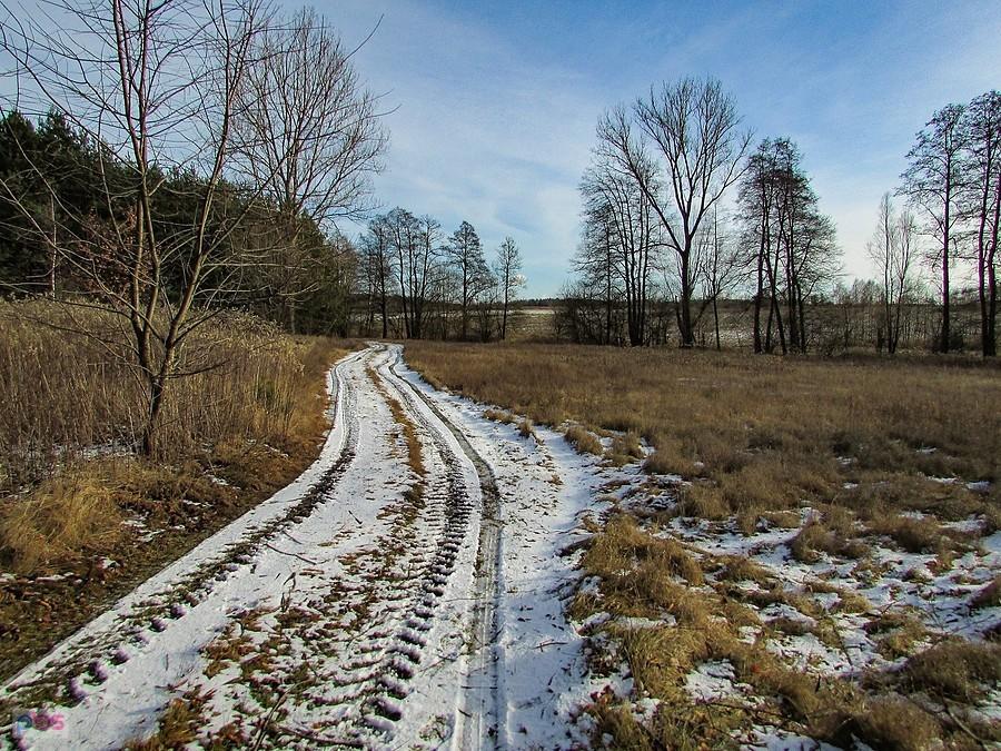 Droga przez łąki na skraju Mazowieckiego Parku Krajobrazowego