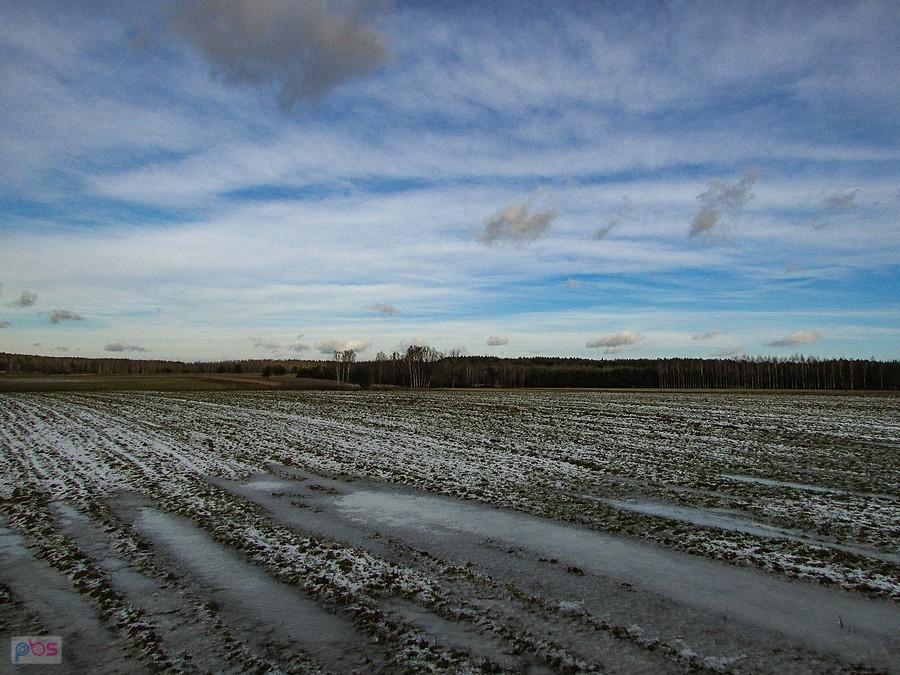 Widok w kierunku leśnej osady Kąciki