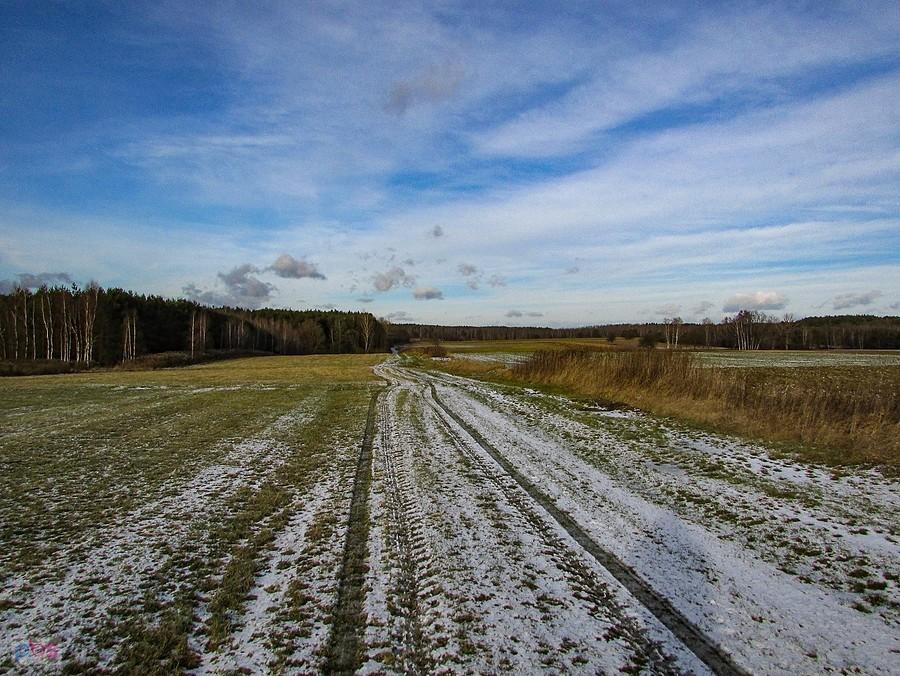Pola na granicy Mazowieckiego Parku Krajobrazowego