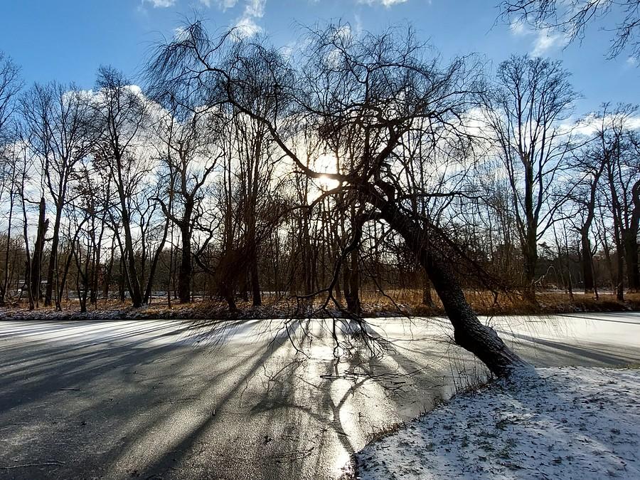 Znów zima na poznańskiej Dębinie