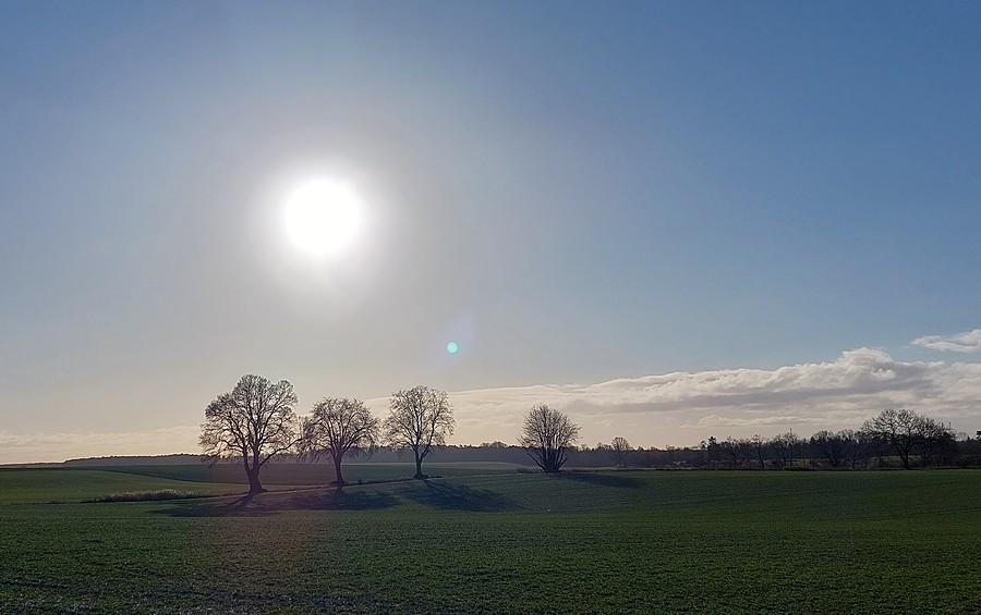 Słońce nad Lisówkami