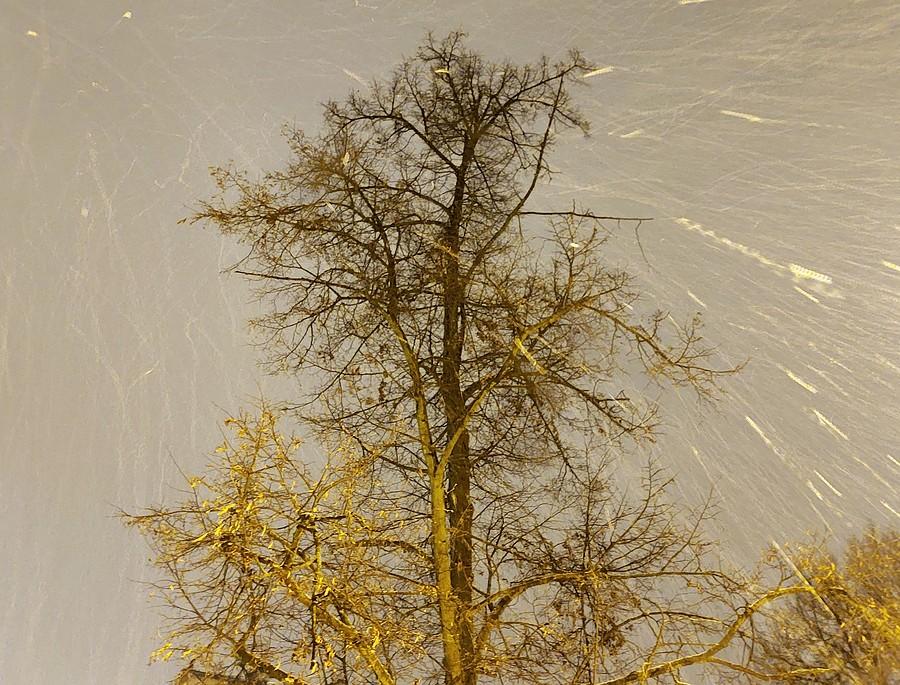 Nocne opady śniegu