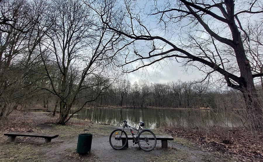 Rowerowa chwila na Dębinie