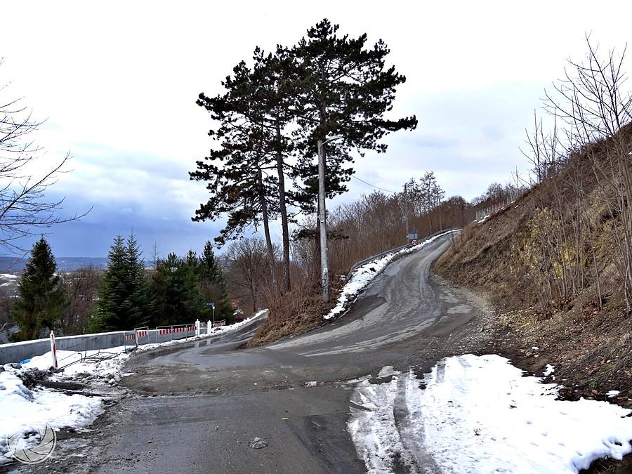 zakręcik na Alpy Karniowickie