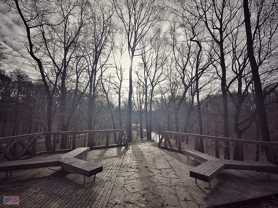 Park Fazaniec