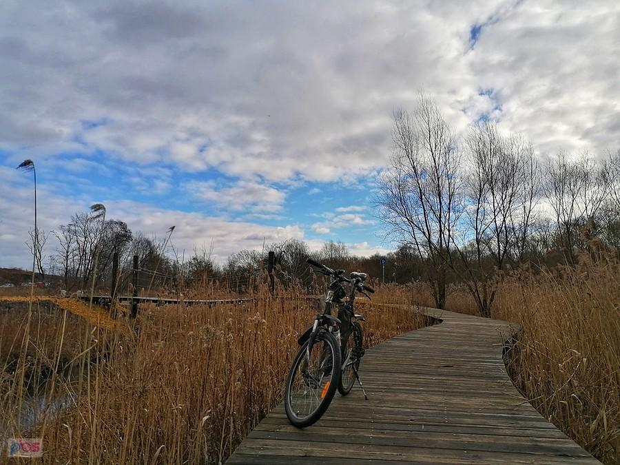Pomost nad Bytomką