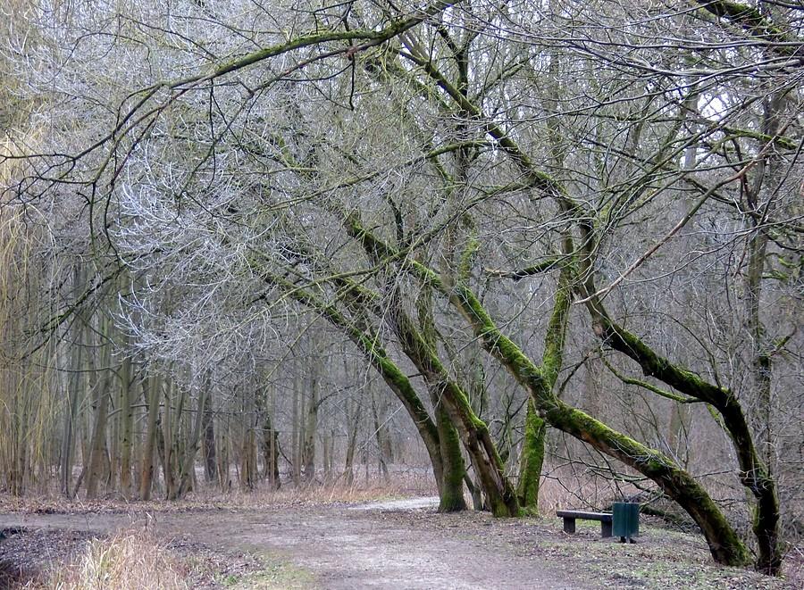 Na poznańskiej Dębinie wciąż szaro