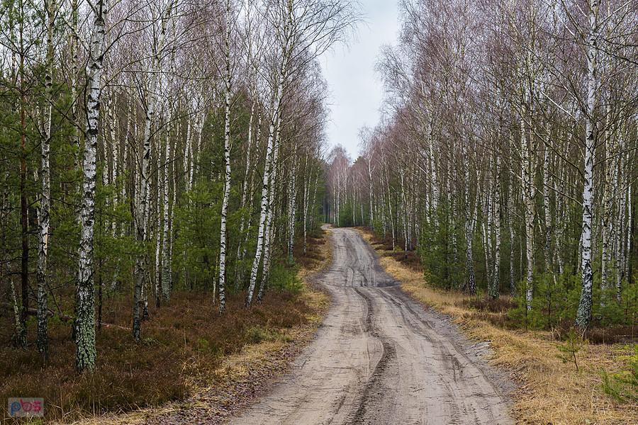 Droga pożarowa nr 17 w kierunku Poraja - Baranowizna – przysiółek wsi Choroń