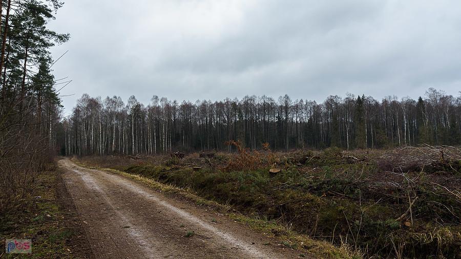 Droga pożarowa Poraj - Częstochowa na wysokości Zawodzia i efekt ostatniej wycinki