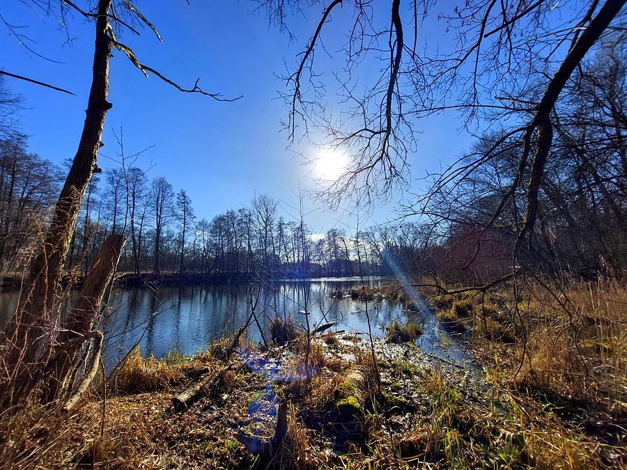 Poznańska Dębina wciąż oświecona