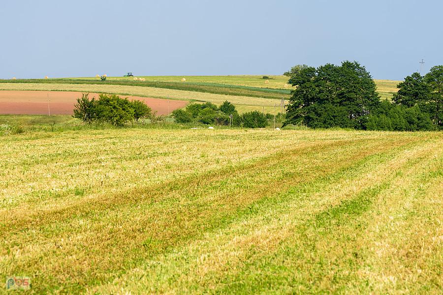 Żelisławice