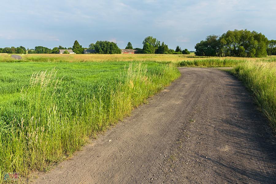 Obok kolonii Dzierżawa - droga z Żelisławic