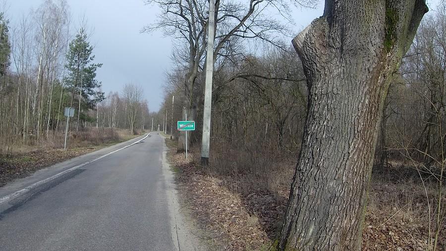 Puszczańska wieś - Wiersze