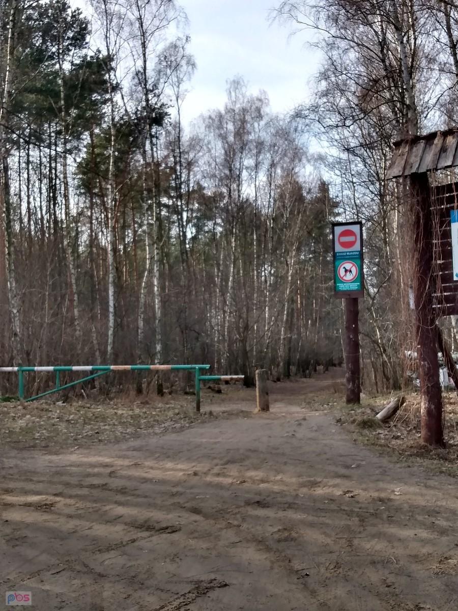 Do lasu nie wjechałam