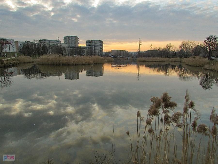 Lustro Stawu Służewieckiego