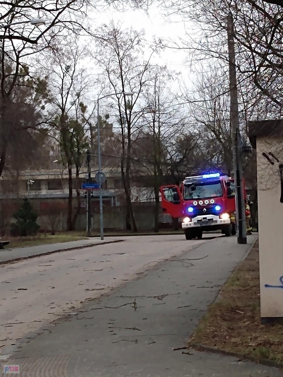 Straż pożarna ma dziś dużo pracy. Tu wycięli zwalone drzewo