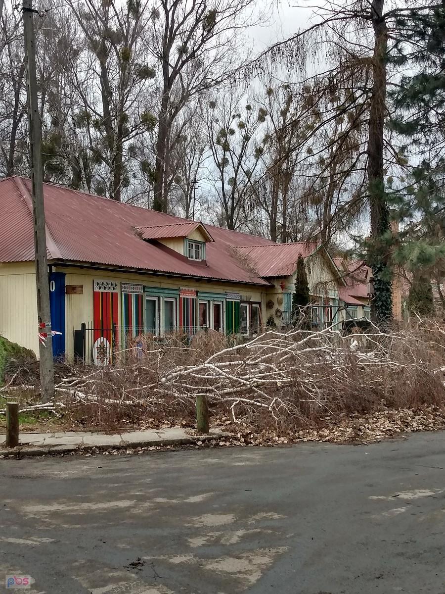 Wiatrołomy na Osiedlu "Przyjaźń"