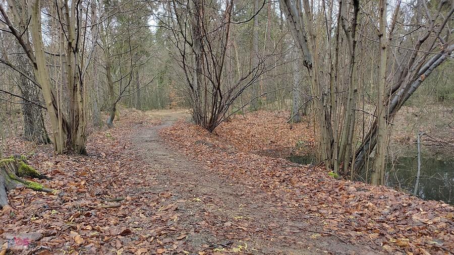 Zimy to nie przypomina