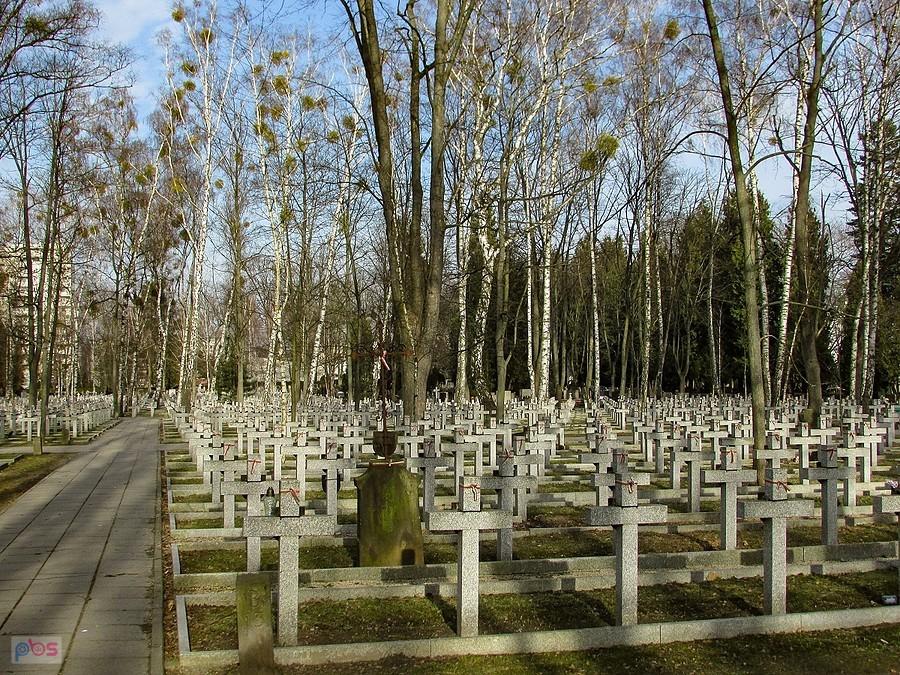 Groby żółnierzy poległych w wojnie z bolszewikami