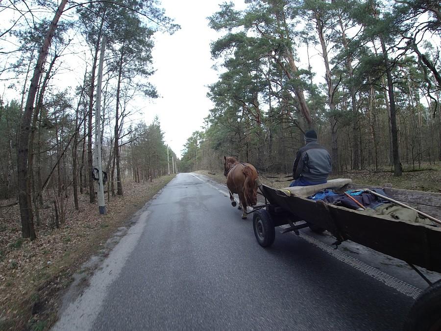Wóz konny...