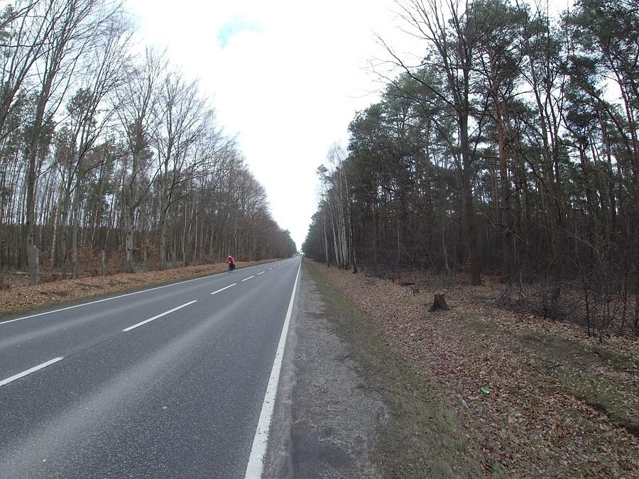 DW 579 Leszno - Nowy Dwór Mazowiecki