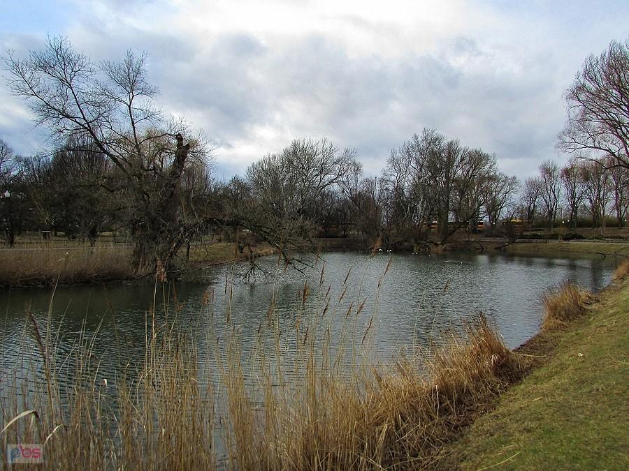 Park Kępa Potocka
