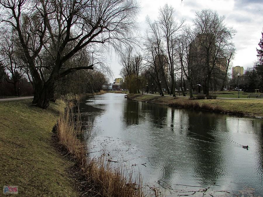 Starorzecze Wisły