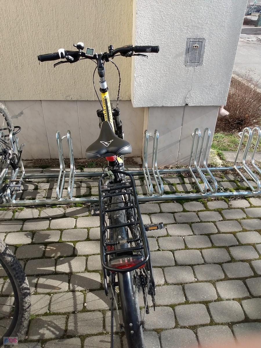 Pszczółka na parkingu