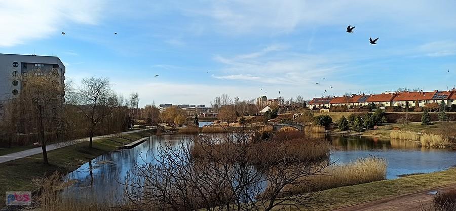 Staw Amlung