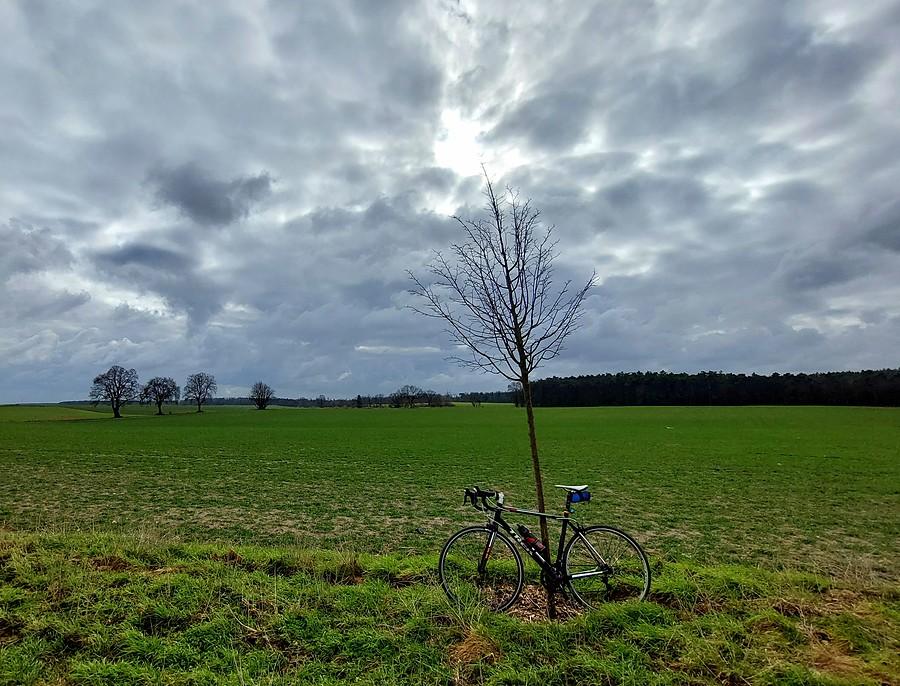 Pochmurno w Lisówkach