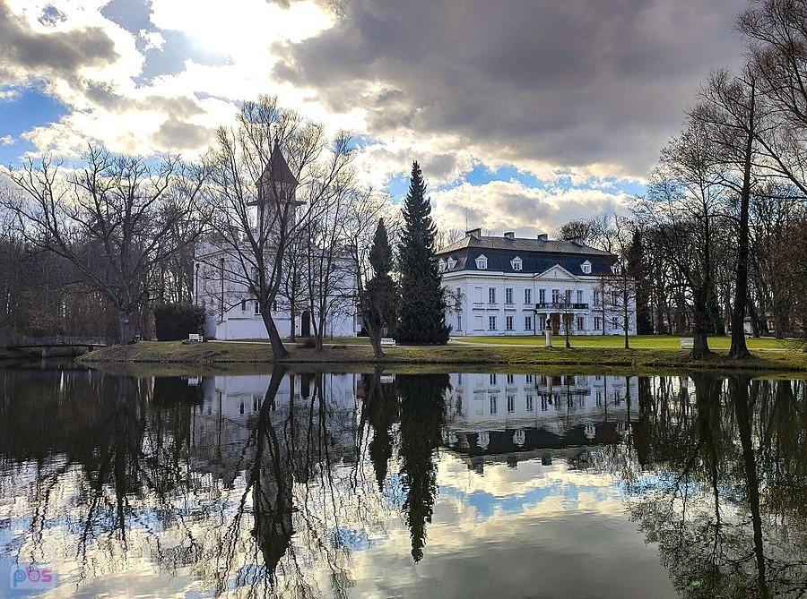 Pałac w Radziejowicach