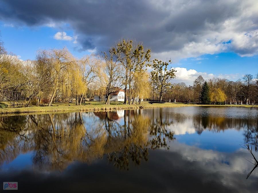 Radziejowice - czworaki nad stawem, pełnią funkcję hotelową