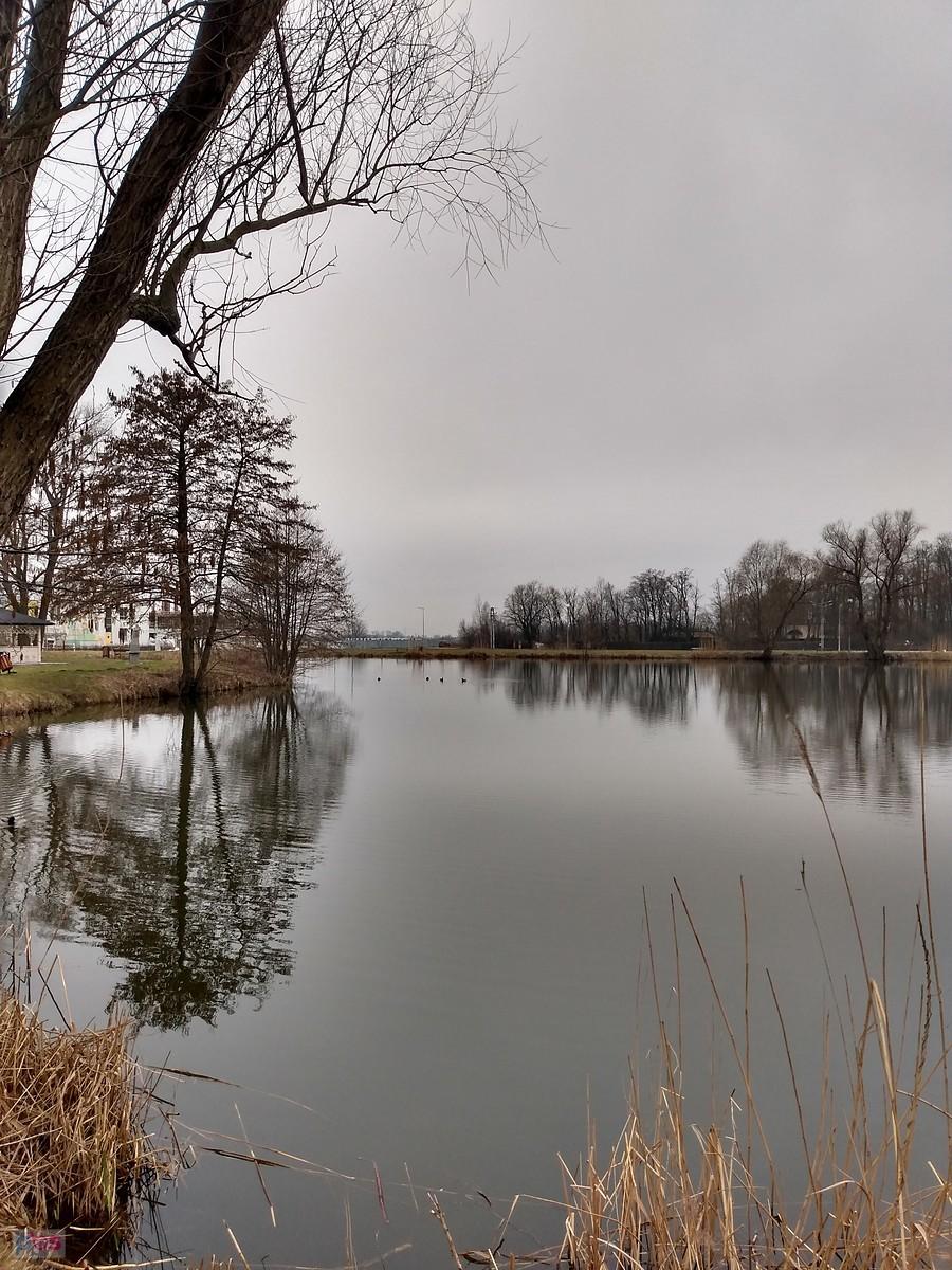 Staw w Zielonkach