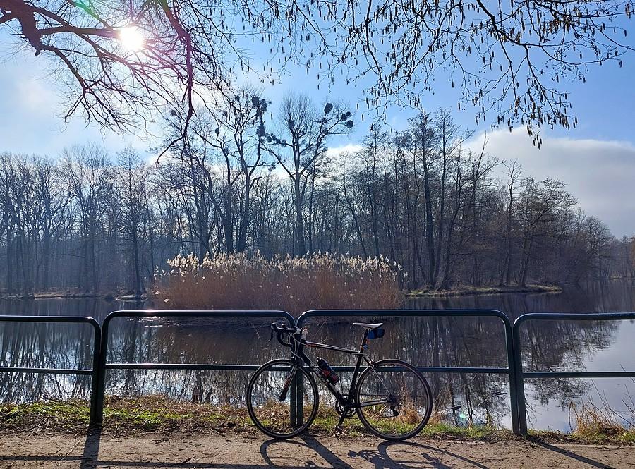 Słonecznie na Dębinie