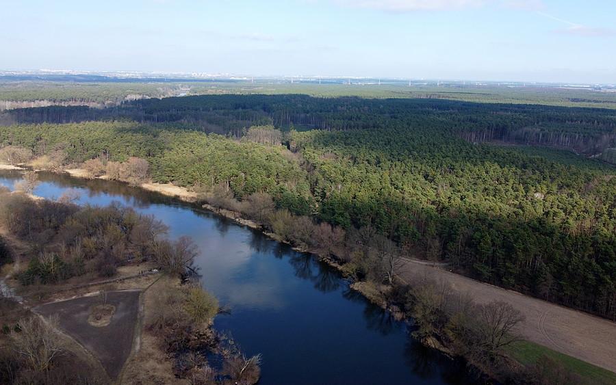 Widoczek na Wartę i prawobrzeżne lasy pewnego nadleśnictwa