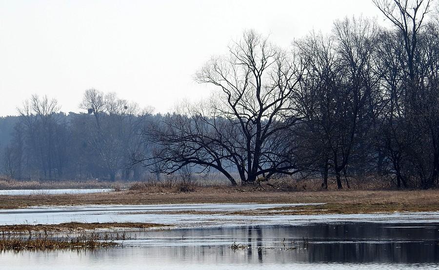 Zbliżenie na zalane pola