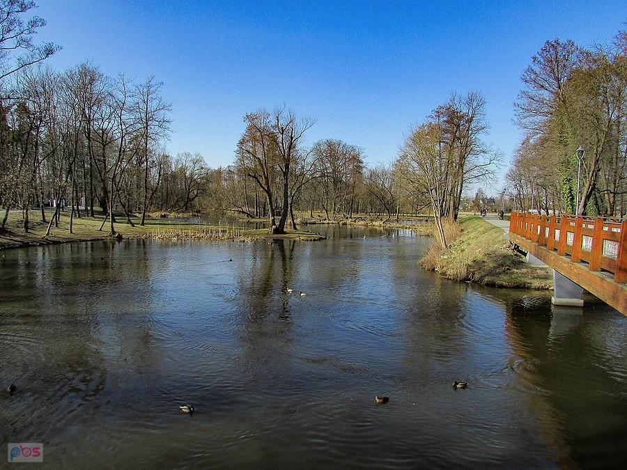 Jeziorka przy mostku