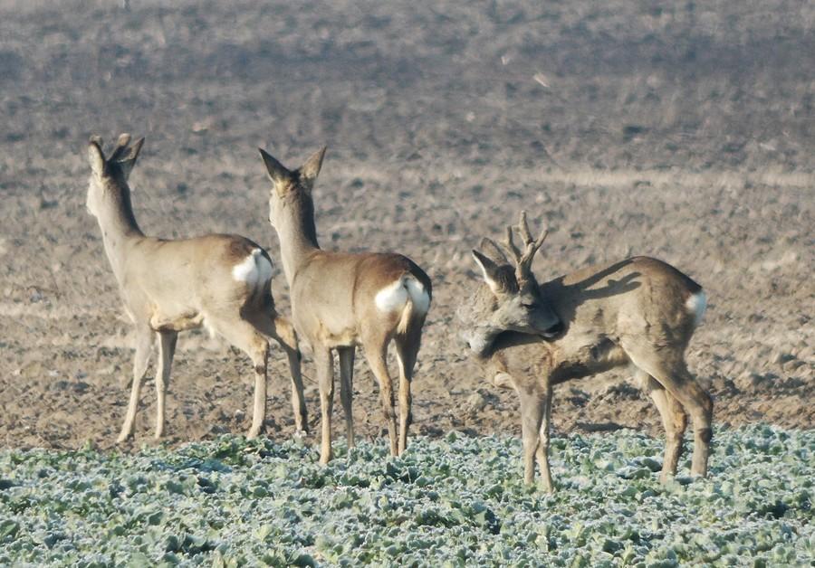 Każdy zajęty czymś innym