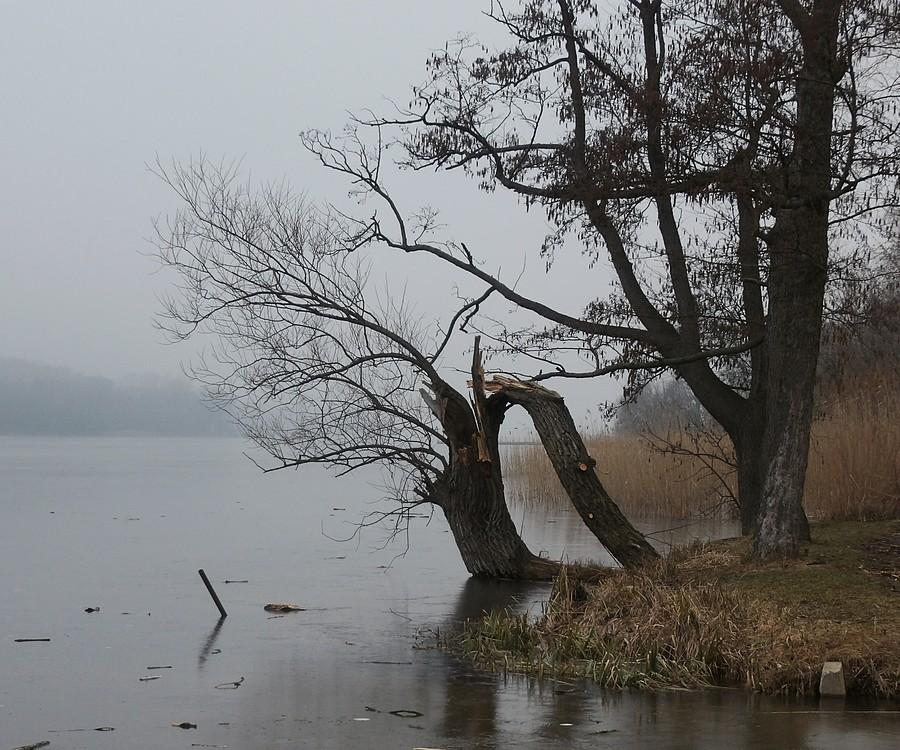 Mglisty klimat nad Lusowskim