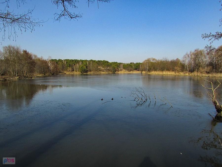 Staw zachodni - wędkarski