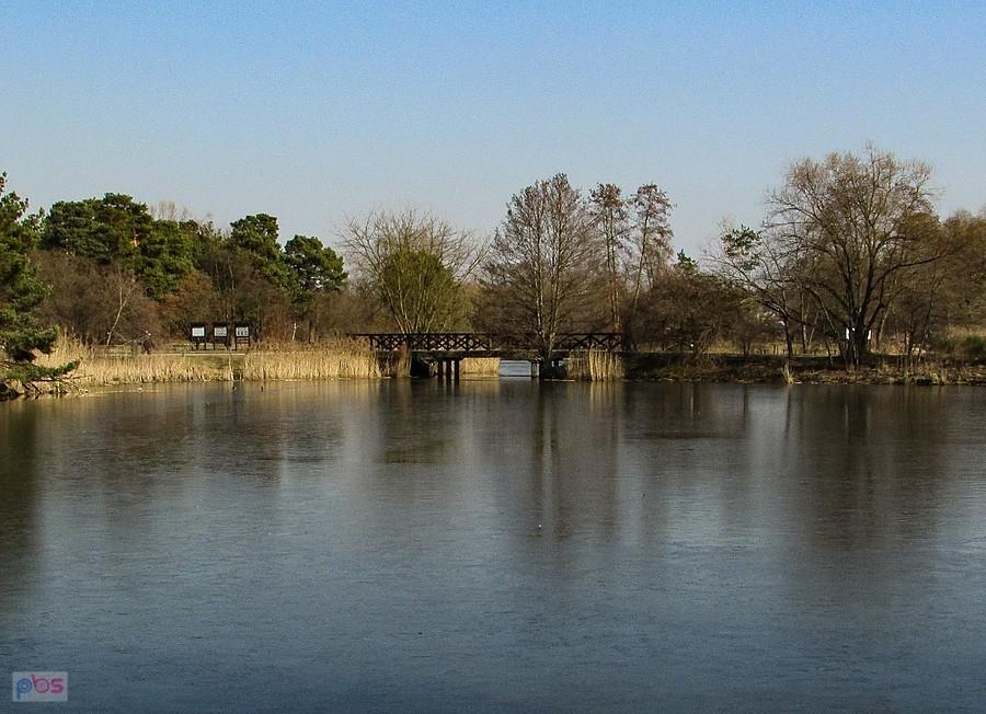 Mostek nad przesmykiem między stawami