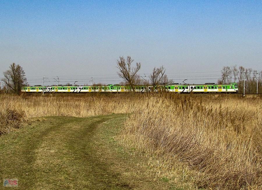 Pociąg Kolei Mazowieckich na linii radomskiej