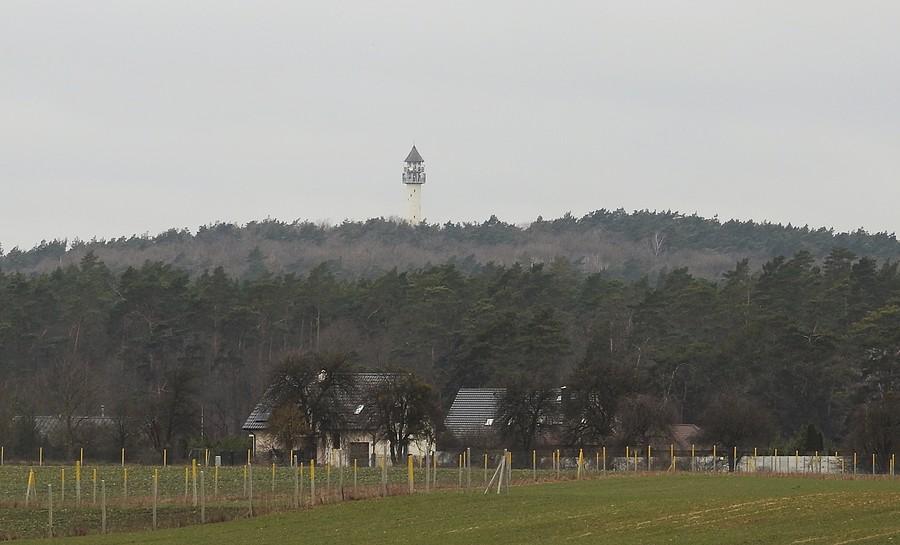 Dziewicza Góra